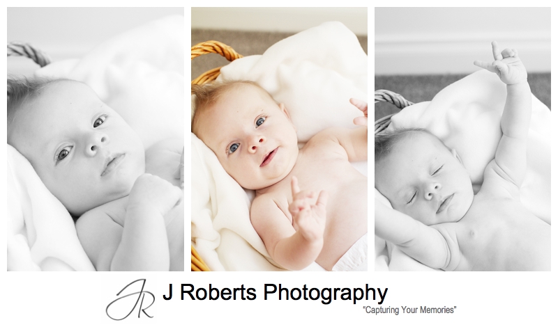 Baby girl portraits in a basket - sydney baby photographer